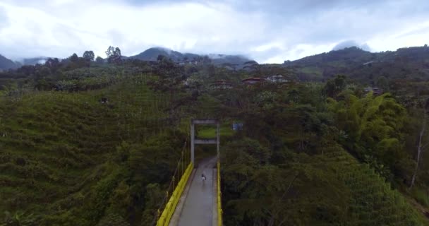 Muž Koni Projíždějící Přes Žlutý Visící Most Obklopený Spoustou Vegetace — Stock video