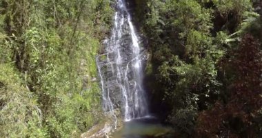 Bir sürü bitki örtüsü, bitki örtüsü, kayalıklarda yosun, Antioquia, Kolombiya 'daki Las Golondrinas Şelaleleri. 