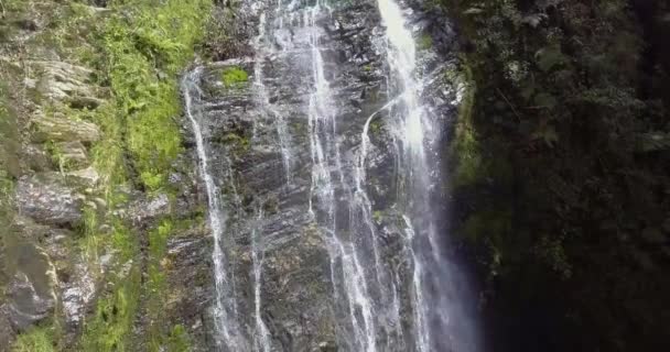 Dużo Warzyw Roślin Mech Skałach Las Golondrinas Wodospady Antioquia Kolumbia — Wideo stockowe