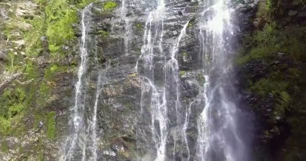 Muita Vegetação Plantas Musgo Nas Rochas Las Golondrinas Cachoeiras Antioquia — Vídeo de Stock