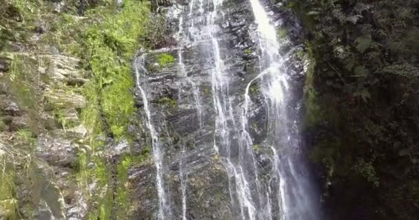 Muita Vegetação Plantas Musgo Nas Rochas Las Golondrinas Cachoeiras Antioquia — Vídeo de Stock