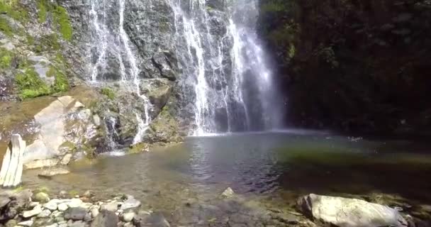 Muita Vegetação Plantas Musgo Nas Rochas Las Golondrinas Cachoeiras Antioquia — Vídeo de Stock