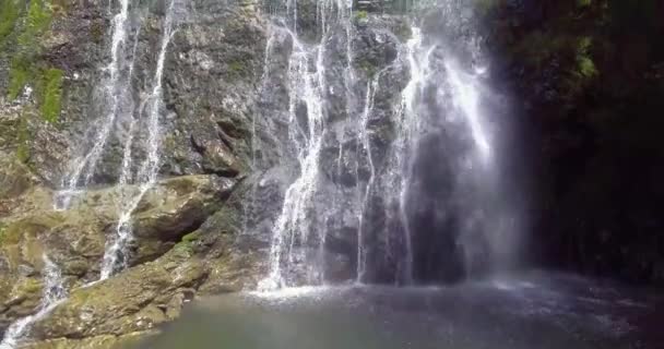 コロンビアのアンティオキアにあるラス ゴロンドリナス滝の岩の上の植生 苔の多く — ストック動画