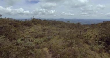 Uzakta Dağ Manzaralı Ağaçlar ve Bitkilerle Paramo