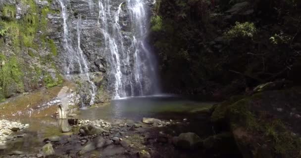 Muita Vegetação Plantas Musgo Nas Rochas Las Golondrinas Cachoeiras Antioquia — Vídeo de Stock