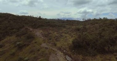 Uzakta Dağ Manzaralı Ağaçlar ve Bitkilerle Paramo