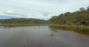 Antioquia, Kolombiya 'daki Belmira' nın Paramo 'sunda küçük bir göl. Bir sürü sebzeli ağaç ve bitki dolu.
