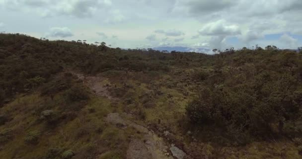 遠くの山の景色を望む木々や植物とのパラモ — ストック動画
