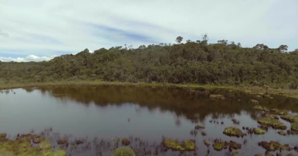 Laguna Pequeña Paramo Belmira Antioquia Colombia Lleno Árboles Plantas Con — Vídeo de stock