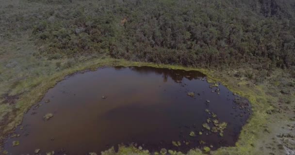 Liten Lagun Belmiras Paramo Antioquia Colombia Full Träd Och Växter — Stockvideo