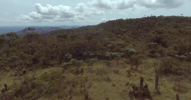 Paramo Con Alberi Piante Intorno Con Vista Sulle Montagne Lontananza — Video Stock