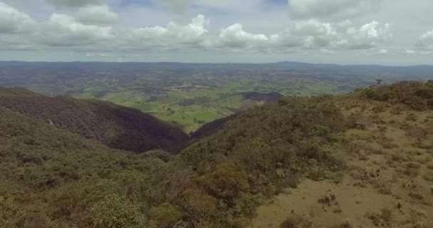 Paramo Con Alberi Piante Intorno Con Vista Sulle Montagne Lontananza — Video Stock