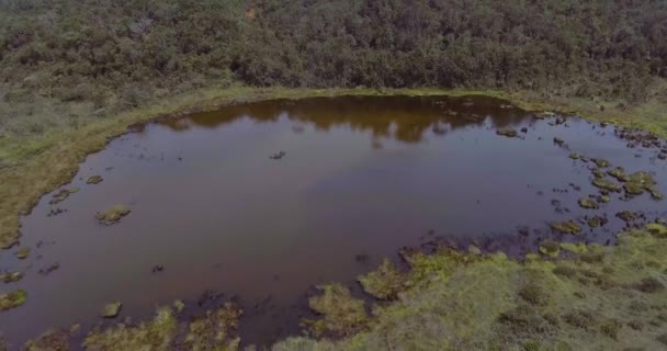 Liten Lagun Belmiras Paramo Antioquia Colombia Full Träd Och Växter — Stockvideo