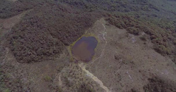 Piccola Laguna Nel Paramo Belmira Antioquia Colombia Pieno Alberi Piante — Video Stock