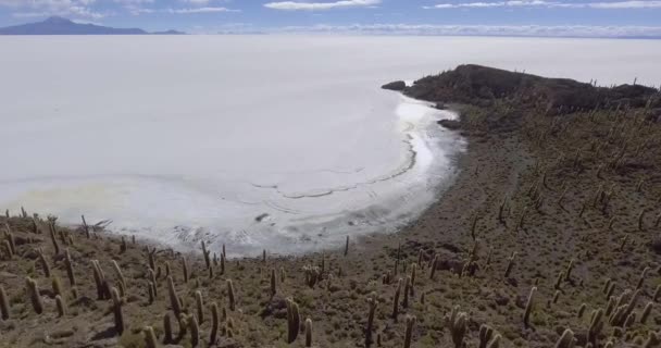 世界最大の塩のフラットであるウユニ塩山の隣の山の多くのサボテン — ストック動画