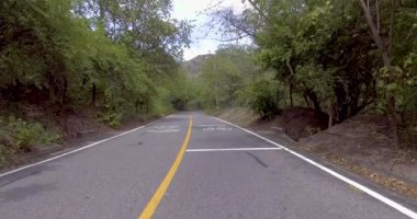 Ağaçlarla ve bitkilerle dolu bir ormanın ortasında, asfalt yol. Açık bir günde.