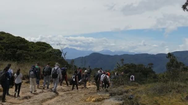 ベルミラ アンティオキア コロンビア 2020年1月19日 バックパック付き観光客のグループは ダーティロードに沿ってガイドに続き 有名なパラモを歩く — ストック動画