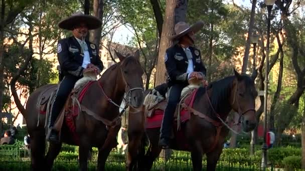 Mexiko Mexiko Januari 2010 Mexikaner Klädda Som Charros Hästar Torget — Stockvideo