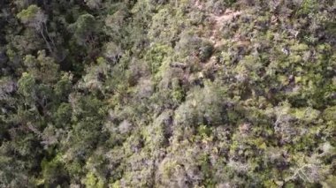 Belmira, Antioquia / Kolombiya 'nın Korunan Doğal Alanındaki Uzakta Dağ Görüş Alanı ile Paramo