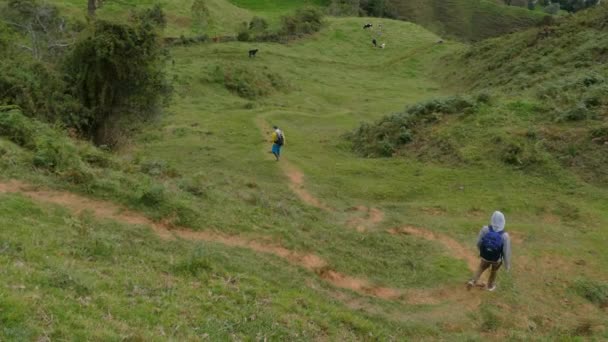Belmira Antioquia Kolumbia Stycznia 2020 Grupa Turystów Plecakami Spaceruje Wzgórzu — Wideo stockowe