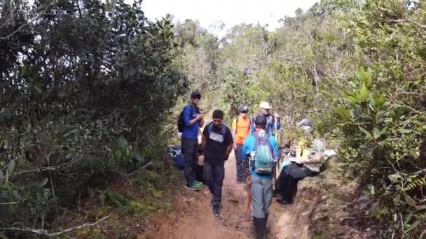 Belmira Antioquia Colombia January 2020 Μια Ομάδα Τουριστών Σακίδια Περπατά — Αρχείο Βίντεο