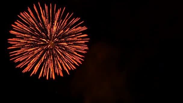 Feux Artifice Dans Ciel Par Une Nuit Noire Morelia Mexique — Video