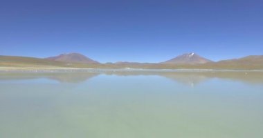 Bolivya 'daki Uyuni Çölü yakınlarındaki Eduardo Avaroa Parkı' nda Kokuşmuş Göl 'ün yanında Uçan Flamenkolar (Laguna Hedionda)