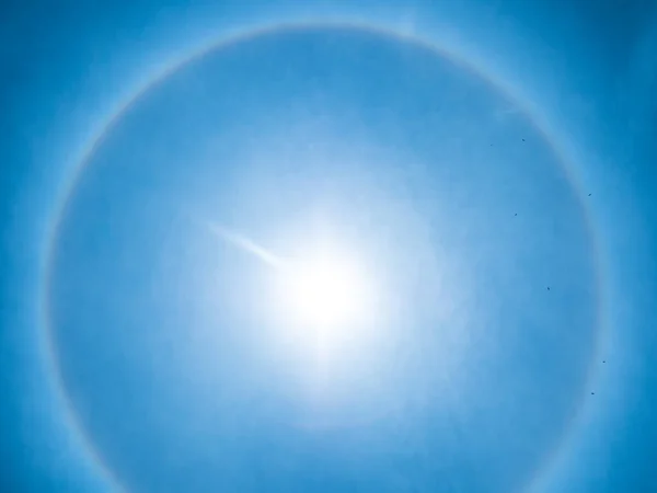 Solar Halo in a Blue Sky while Birds Fly