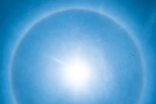 Solar Halo in a Blue Sky while Birds Fly