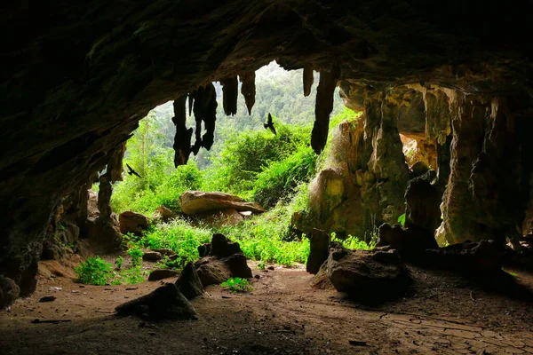 Birds Flying Cave Salto Hanabanilla Cuba — Stock Photo, Image