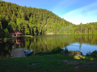 Göl kenarındaki küçük kulübe Çam ağaçlarıyla dolu bir ormanla çevrili.