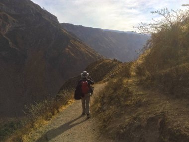 Yeşil Dağlar ve Arequipa / Peru 'daki Nehir ile çevrili Sangalle Vahası' na Giden Turist