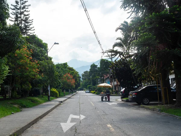 Medellin Antioquia Kolombiya Eylül 2020 Küçük Evleri Yüksek Ağaçları Olan — Stok fotoğraf