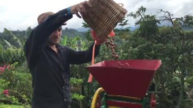 Kafkas Adam Jardn, Antioquia / Kolombiya 'da Siyah Kova' da Organik Kahve Kabartma Makinesini teslim ediyor 