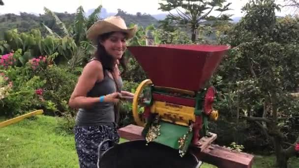 Latin Şapkalı Kadın Jardn Antioquia Kolombiya Siyah Kova Çinde Organik — Stok video