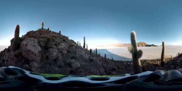 Vista 360 Grados Los Muchos Cactus Una Montaña Junto Salar — Vídeo de stock