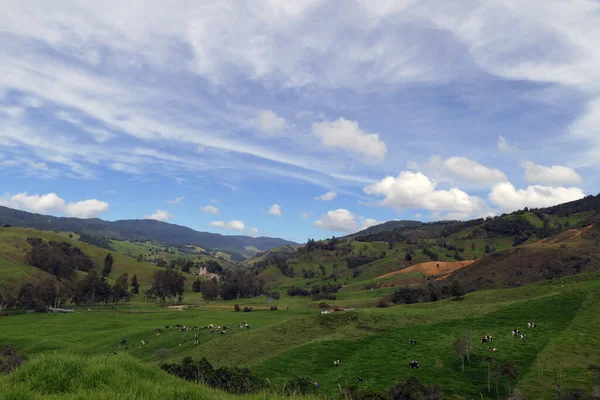 Zielone Wzgórza Pełne Pastwisk Dla Bydła Belmirze Antioquia Kolumbia — Zdjęcie stockowe