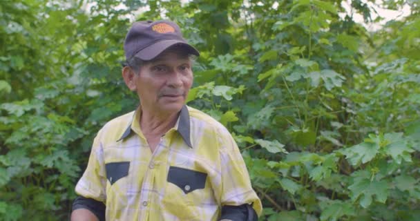 Старый Латиноамериканец Жёлтой Рубашке Кепке Зелёной Сельскохозяйственной Земле — стоковое видео