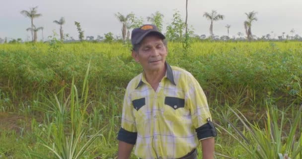 Homem Hispânico Velho Camisa Amarela Tampão Terra Verde Agricultura Agroflorestal — Vídeo de Stock