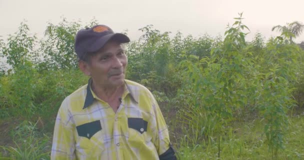 Vecchio Uomo Ispanico Camicia Gialla Cappello Verde Agroforestazione Agricoltura Land — Video Stock