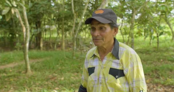 黄色のシャツとキャップの古いヒスパニック男性グリーンアグロフォレストリー農業の土地 — ストック動画
