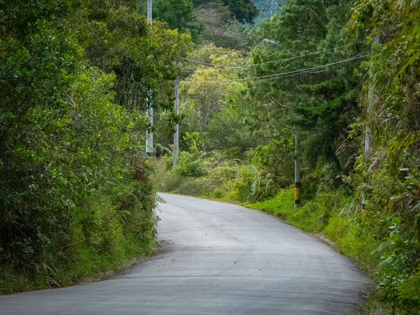 Estrada Asfalto Entre Montanhas Floresta — Fotografia de Stock