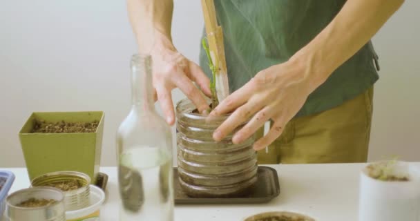 Homem Branco Com Alguns Potenciômetros Com Plantas Jardinagem Uma Tabela — Vídeo de Stock