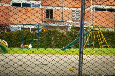 Saffron Finch (Sicalis flaveola) bir çimento bahçesinde bir çocuk oyun alanının yanındadır.