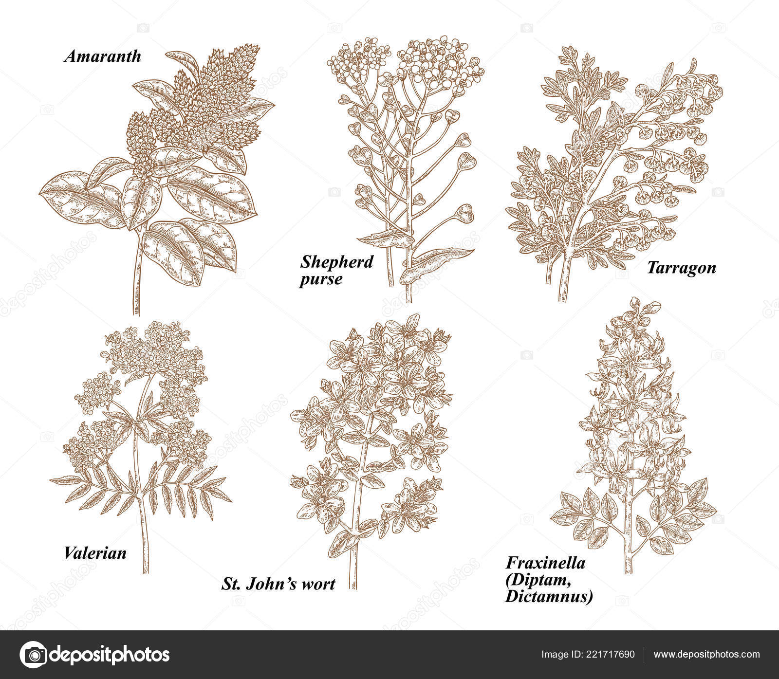 vintage medicine bolsa