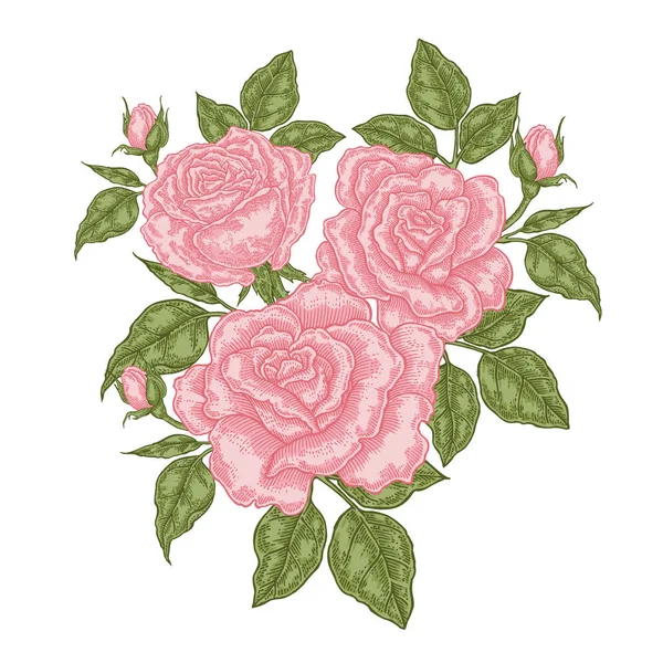 Ramo Rosas Rosadas Composición Floral Flores Primavera Aisladas Blanco Ilustración — Archivo Imágenes Vectoriales