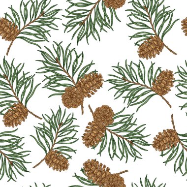 El ile Seamless modeli çam kozalakları ve dalları çizilmiş. Vektör çizim kazınmış. Noel bitkiler Tasarla.