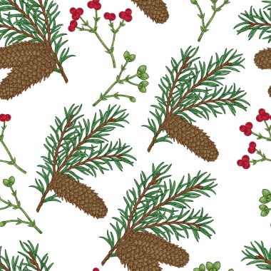 El ile Seamless modeli çam kozalakları ve dalları çizilmiş. Vektör çizim kazınmış. Tasarım Noel tebrik kartları ve ambalaj için.