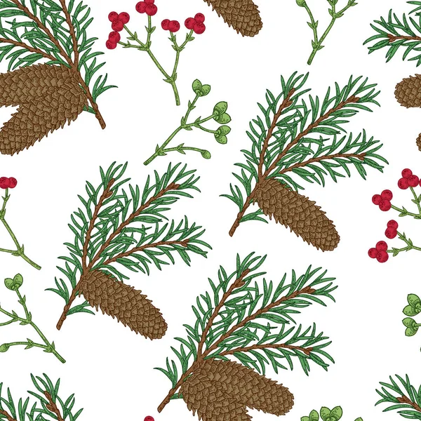 El ile Seamless modeli çam kozalakları ve dalları çizilmiş. Vektör çizim kazınmış. Tasarım Noel tebrik kartları ve ambalaj için.