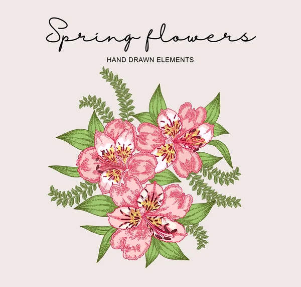 Kevään kukat koostumus. Käsin piirretty alstroemeria kukkia ja lehtiä. Vintage vektori kasvitieteellinen kuva . — vektorikuva